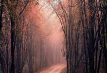 短道速滑——世锦赛:孙龙获男子1000米决赛第五名.