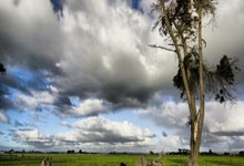 最灿烂的笑容、最艰巨的挑战——专访国际奥委会主席候选人考文垂.