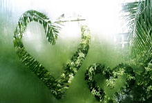 击败哥伦比亚!吉马良斯:巴西的风格是高压逼抢,争取控球权.